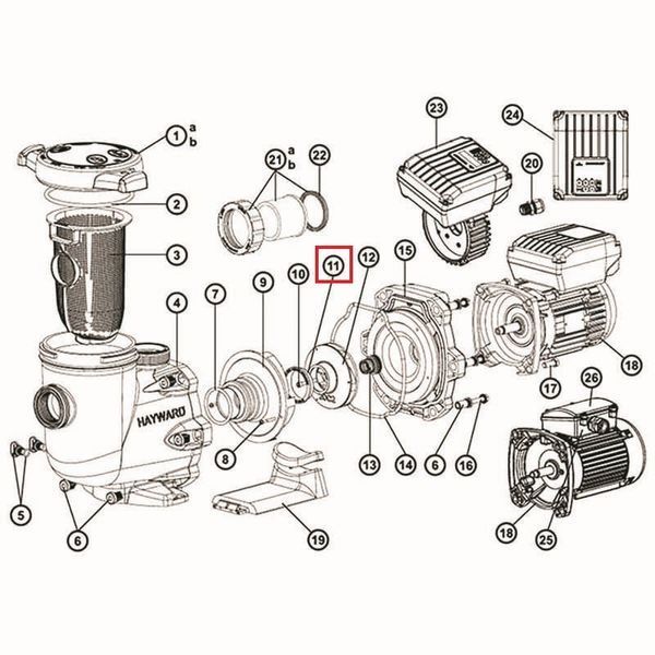 Ущільнююче кільце насоса Hayward Tristar (SPX3021R) 16428 фото