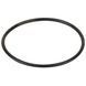 Ущільнююче кільце кришки префільтра насоса Hayward K-FLO (RPUM0003.09R) 24165 фото 1