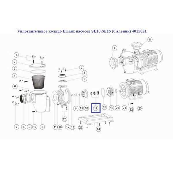 Ущільнювальне кільце Emaux насосів SE10 \ SE15 (Сальник) 4015021 12521 фото