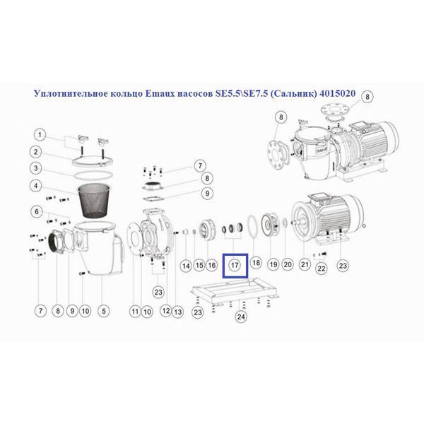 Уплотнительное кольцо Emaux насосов SE5.5\SE7.5 (Сальник) 4015020 12520 фото