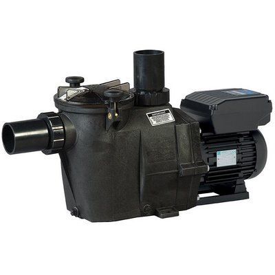 Насос Hayward RS II RS3020VSTD (220 В, 25 м3/год, 2 HP), зі змін. швид. 19966 фото