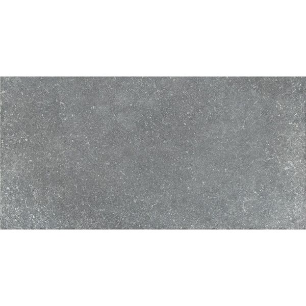 Плитка для бассейна Aquaviva Granito Gray, 298x598x9.2 мм 24693 фото