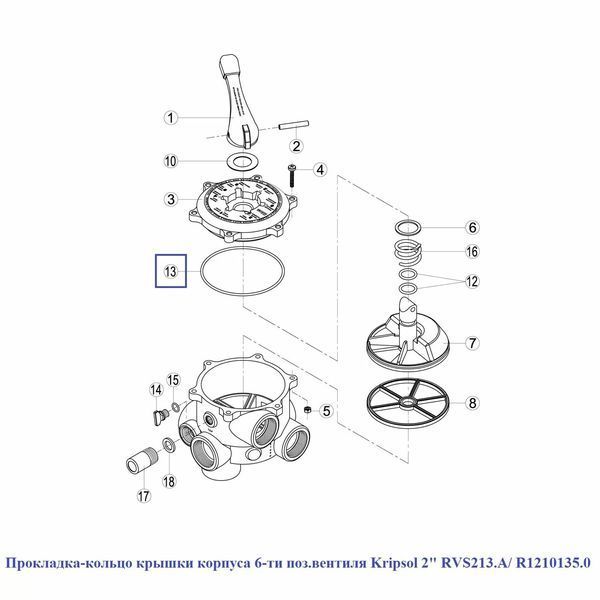 Прокладка-кольцо крышки корпуса 6-ти поз.вентиля Kripsol 2" RVS213.A/ R1210135.0 15862 фото