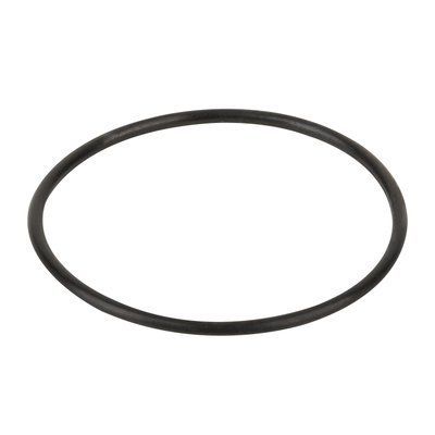 Уплотнительное кольцо диффузора Emaux (02011004) 2074 фото