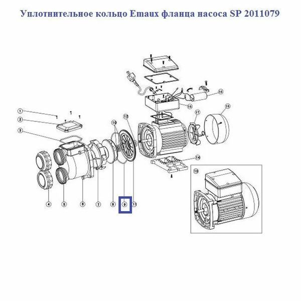 Уплотнительное кольцо Emaux фланца насоса SP 2011079 12071 фото