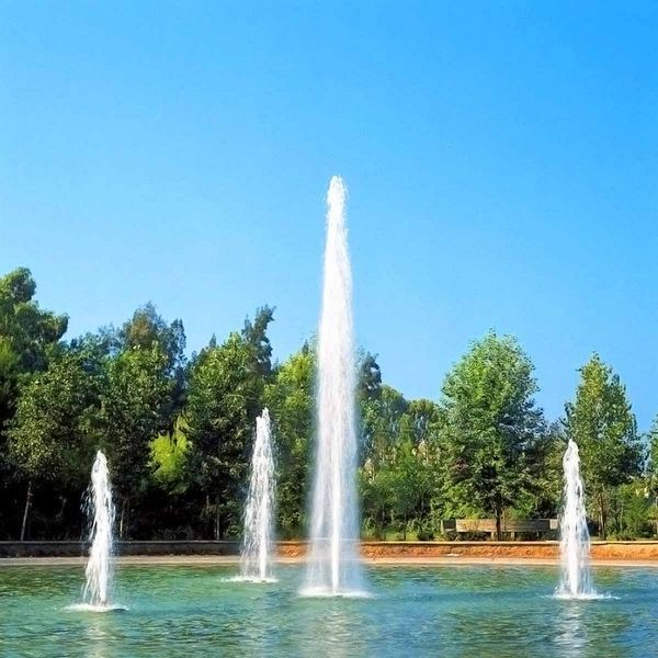 Форсунка Aquaviva VSD40 Многоструйный водный столб 25415 фото