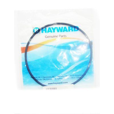 Прокладка Hayward Power-Flo II/ PowerLine (SPX8100R) 15844 фото