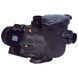 Насос Hayward Tristar SP32161 (220 В, 23.5 м3/год, 1.5 HP) 16442 фото 1